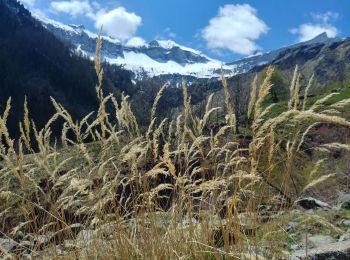 Trail Walking Champoléon - 20190514_Les Fermonds_Refuge du Tourond_Les Bouquetins - Photo