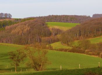 Excursión A pie Velbert - Astrath Rundweg A1 - Photo