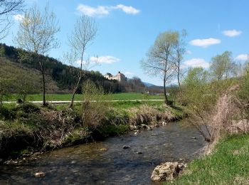 Randonnée A pied Feistritz am Wechsel - Rundwanderweg 10 (Urban-Kapelle - Feistritz - Grottendorf - Hollabrunn - Urban-Kapelle) - Photo