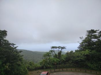 Randonnée Marche Capesterre-Belle-Eau - chutes du carbets 1 et 2 🇬🇵 - Photo