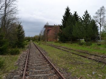 Excursión A pie Marienberg - DE-Grüner Balken auf weißem Grund,Marienberg-Reitzenhain - Photo