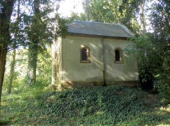 Randonnée A pied Sentheim - Sentier géologique du Wolfloch - Photo