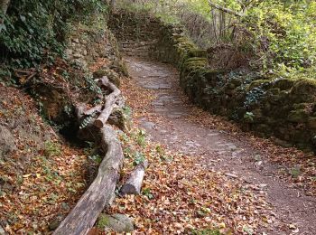 Randonnée Marche Isaba/Izaba - ermita de Idoia - Photo