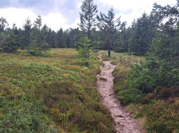 Trail Walking Le Valtin - VOSGES 2023 - Col de la Schlucht - Les Rochers de Hirschteine - Photo