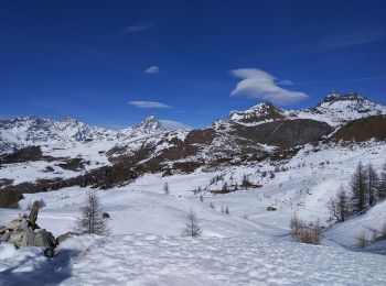 Tour Schneeschuhwandern Chamois - Trognon j 4 - Photo