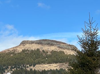 Randonnée A pied Besse-et-Saint-Anastaise - Puy Chambourguet à Super Besse - Photo