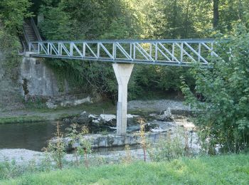 Tocht Te voet Dättlikon - Dättlikon - Freienstein - Photo