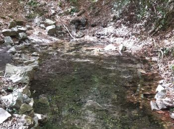 Percorso Marcia Magny-le-Désert - bagnoles de l'orne j3 - Photo