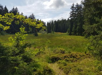 Percorso Mountainbike Hauteluce - 2019.08.13-24,7km-Saisies Chemin des Marmottes Carrefour direction Coehnoz Lac des Saisies Bisanne Descente par piste VTT Saisies - Photo