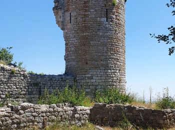 Tocht Stappen Rougiers - Castrum de Rougiers après modification N2 - Photo