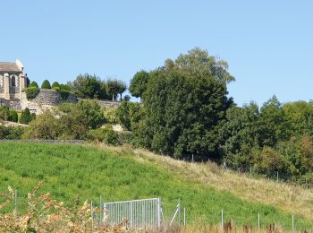 Percorso Corsa a piedi Brives-Charensac - le puy en Velay, bord de Loire,  voie verte  - Photo