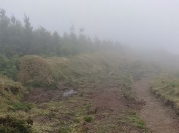 Randonnée A pied São Pedro de Nordestinho - PRC7SMI Pico da Vara - Photo