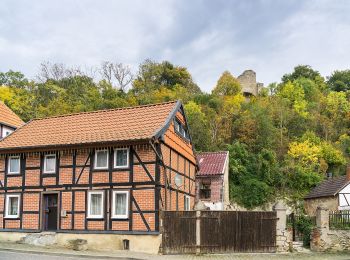 Tocht Te voet Oebisfelde-Weferlingen - Lappwald Rundwanderweg 17 - Photo