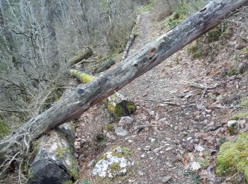 Randonnée Marche Aurel - 26 aurel col de la grave rimon - Photo