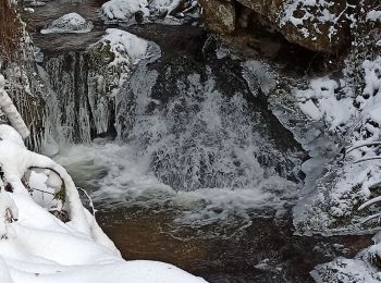 Randonnée Marche Le Val-d'Ajol - 104-02-21 cascade du Gehard - étang de la Mollière - Photo