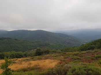 Tocht Trail Saint-Pons-de-Thomières - le Mourel - Photo