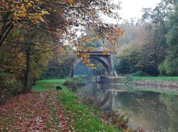 Trail Walking Saint-Médard-sur-Ille - 191119 St Medard sur Ille - Photo