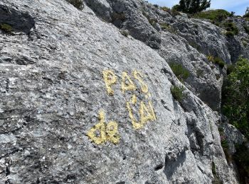 Trail sport Plan-d'Aups-Sainte-Baume - ST BAUME PAS DE L AIL CHEMIN MERVEILLEUX  - Photo