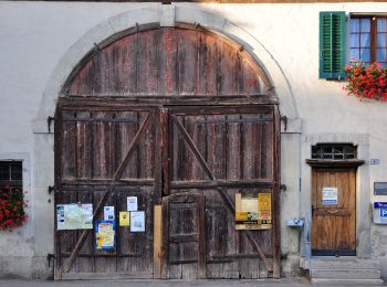 Tour Zu Fuß Dielsdorf - Dielsdorf - Wettingen - Photo