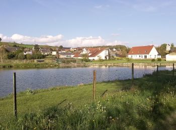 Tour Wandern Bouvaincourt-sur-Bresle - Bouvaincourt sur Bresle le grand marer  - Photo