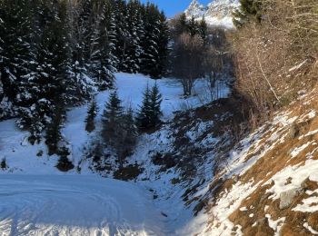 Randonnée sport Vaujany - Orgieres  - Photo