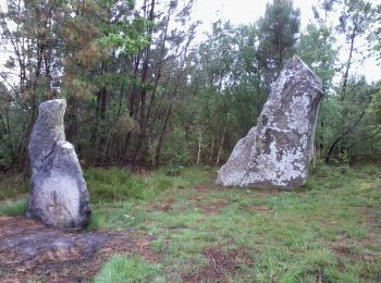 Excursión A pie Saint-Jean-de-la-Motte - Sentier des Menhirs - Photo