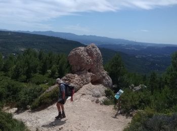 Tocht Stappen Saint-Antonin-sur-Bayon - la croix de Provence - Photo