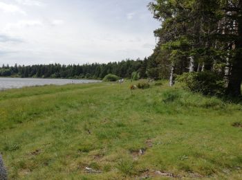 Excursión Senderismo Saulzet-le-Froid - pessade Lac Serviere - Photo