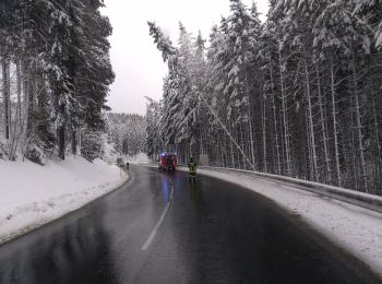 Tour Zu Fuß Bad Leonfelden - Elmegg - Schönau - Photo