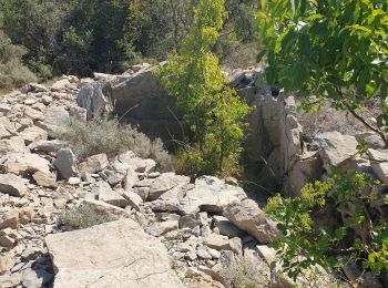 Trail Walking Cazevieille - dolmen cazevielle - Photo