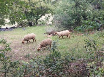 Randonnée Marche Le Pouzin - Le Pouzin : Couvent des Chèvres 8km. - Photo