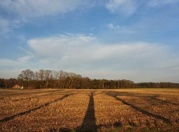 Tour Zu Fuß Bronckhorst - Lokaal Vorden - Photo
