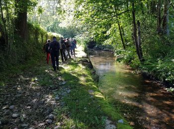 Trail Walking Sare - sare - Photo