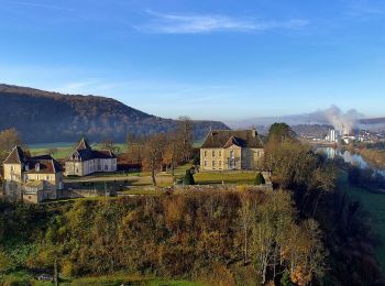 Tour Zu Fuß Vaire - Sentier des Sources 1 - Photo