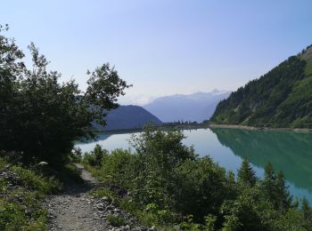 Tour Wandern Ayent - Le rawil - Photo