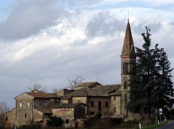 Percorso A piedi Bucine - IT-127 - Photo