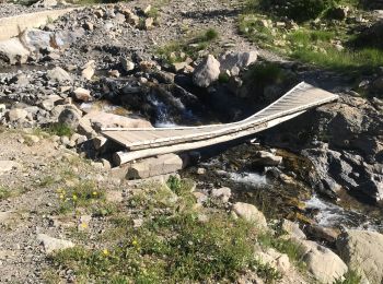 Randonnée Marche Allos - Tête de Sestriere - Photo