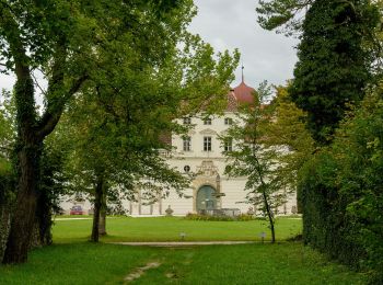 Excursión A pie Gemeinde Ernstbrunn - Ernsti Wanderweg - Photo