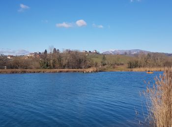 Tour Wandern Belley - Chenal - Photo