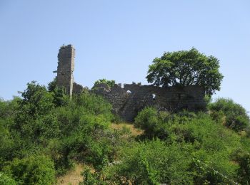 Tocht Te voet Gioia dei Marsi - Passo del Diavolo - Lecce dei Marsi - Photo