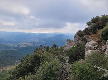 Trail Walking Rocbaron - le pilon Saint Clément et les barres de Cuers - Photo