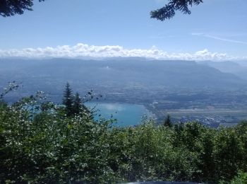 Tocht Wegfiets Le Bourget-du-Lac - relais du chat et retour par le tunnel - Photo