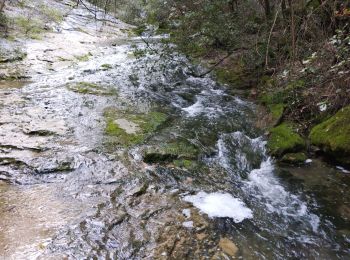 Excursión Senderismo Auriol - les Encanaux  - Photo