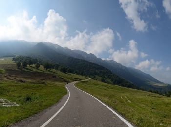 Tocht Te voet Avio - Strada della Selva - Photo