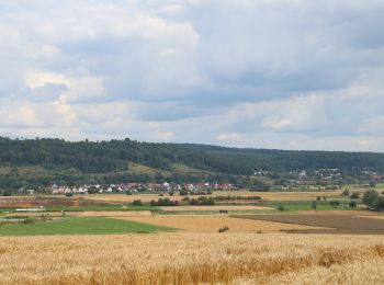 Trail On foot Weimar (Lahn) - [W1] Rundweg durch die Gemeinde Weimar (Lahn) - Photo