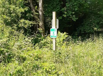 Trail Walking Mettet - Pontaury Bambois - Photo