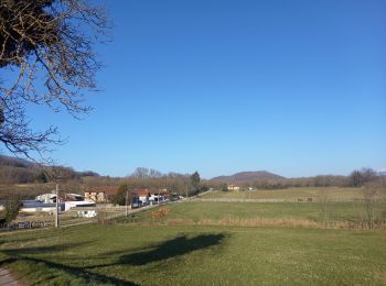 Tour Wandern Cras - Etang de Tullins - Photo