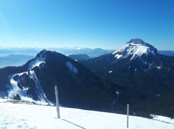 Randonnée Raquettes à neige Plateau-des-Petites-Roches - Pravouta en circuit partiel - Photo