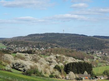 Tour Zu Fuß Bad Schwalbach - Fischbach - Bärstadt - Photo