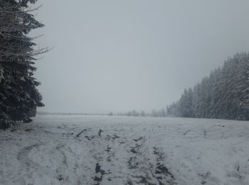 Randonnée Marche Theux - petit tour à Bronromme - Photo